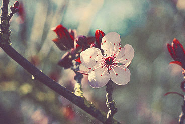 短信在线呼死你2023