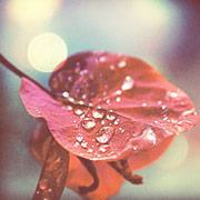 无限呼叫别人电话的软件